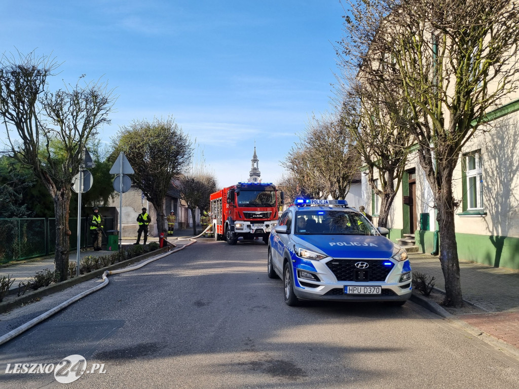 III Manewry Ratowniczo-Techniczne w Rydzynie