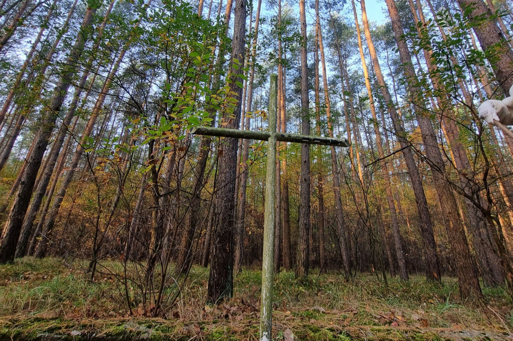 Strażacy OSP uporządkowali pomnik w lesie rydzyńskim