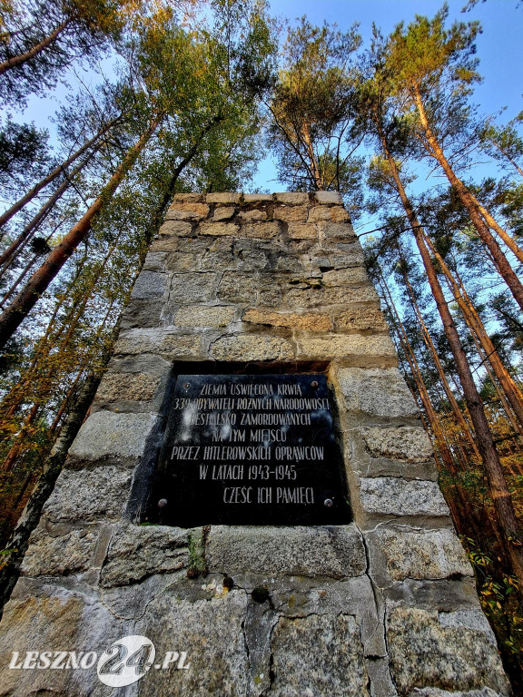 Strażacy OSP uporządkowali pomnik w lesie rydzyńskim