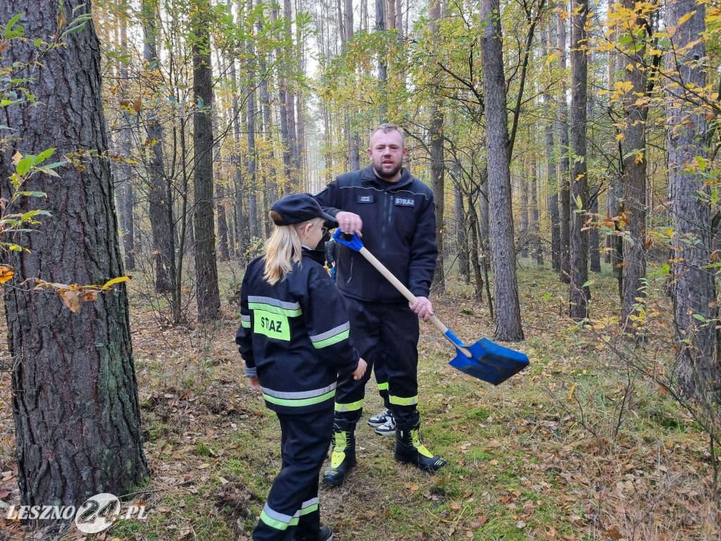 Strażacy OSP uporządkowali pomnik w lesie rydzyńskim