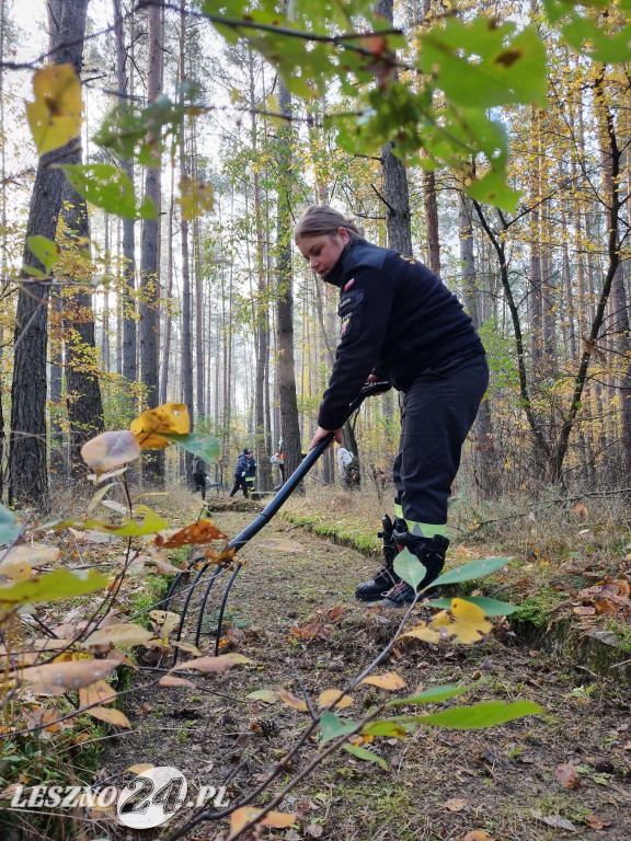 Strażacy OSP uporządkowali pomnik w lesie rydzyńskim
