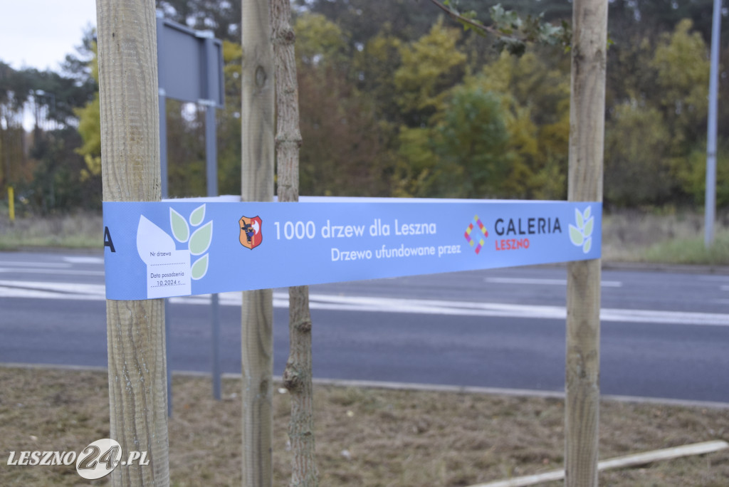 1000 drzew dla Leszna