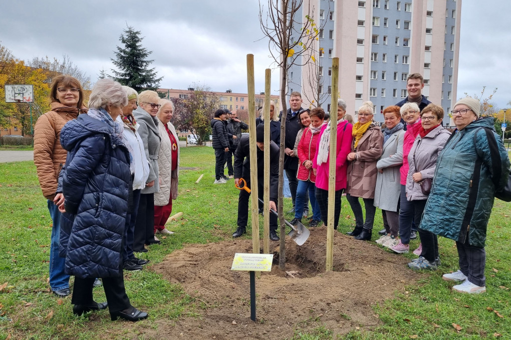 Sadzenie drzew w Parku Grody Leszczyńskie