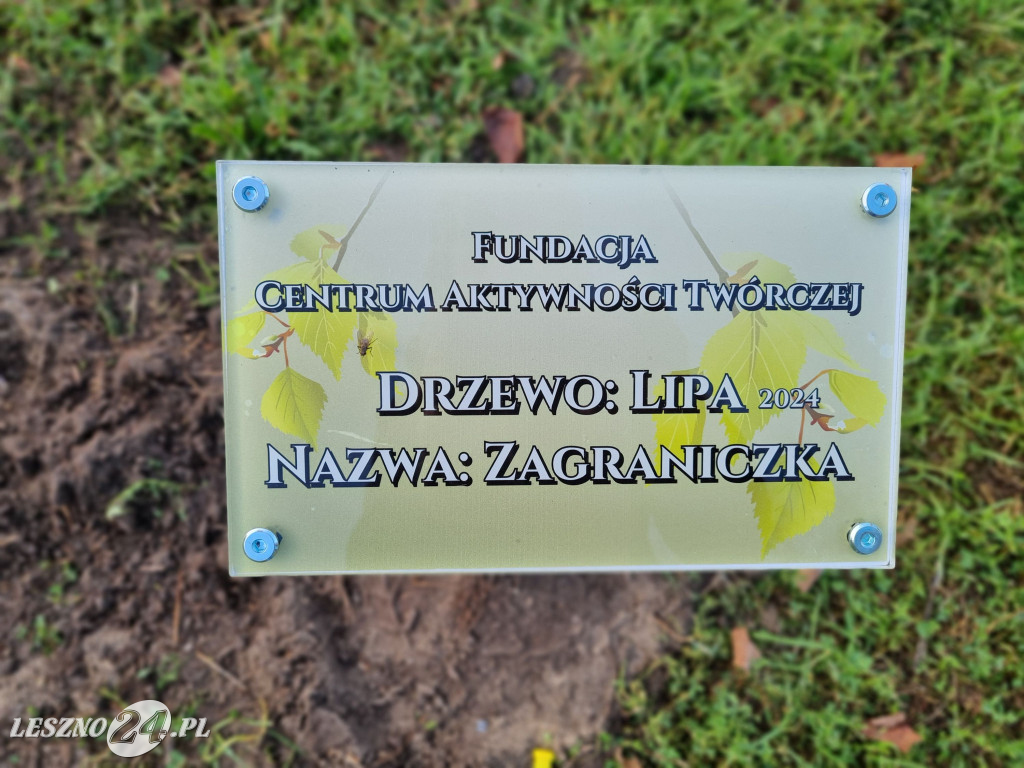 Sadzenie drzew w Parku Grody Leszczyńskie
