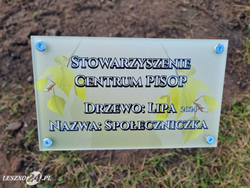 Sadzenie drzew w Parku Grody Leszczyńskie