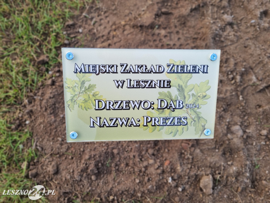 Sadzenie drzew w Parku Grody Leszczyńskie