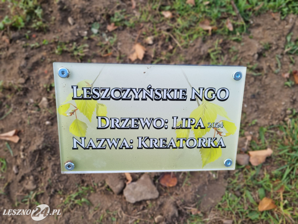 Sadzenie drzew w Parku Grody Leszczyńskie