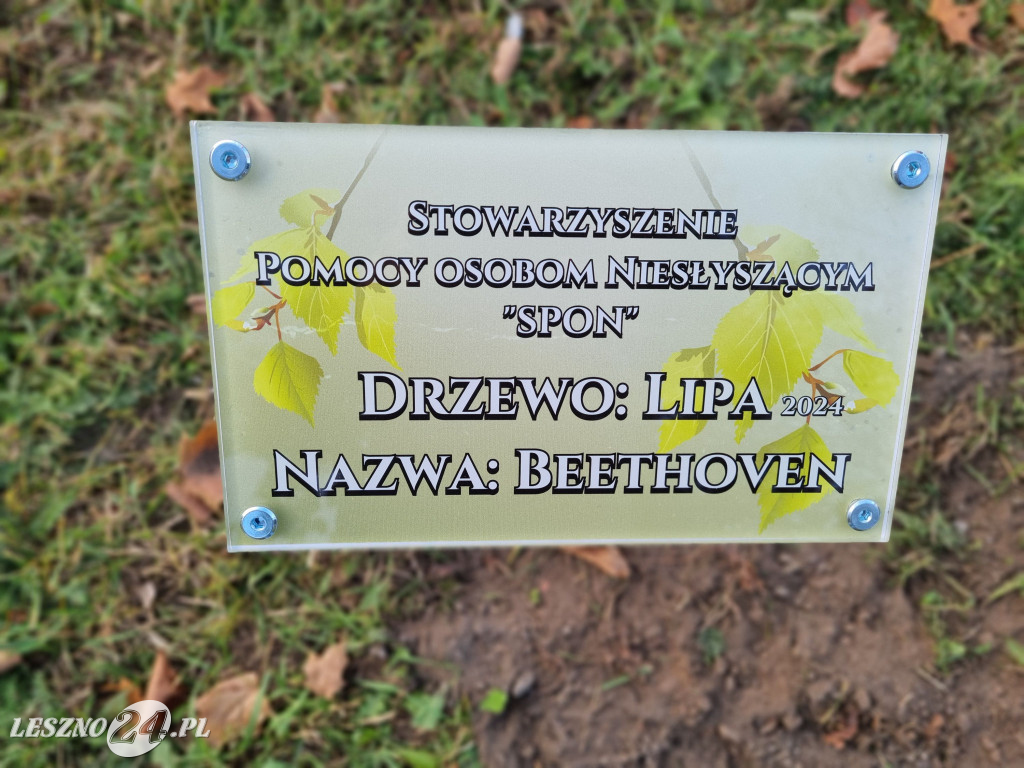 Sadzenie drzew w Parku Grody Leszczyńskie