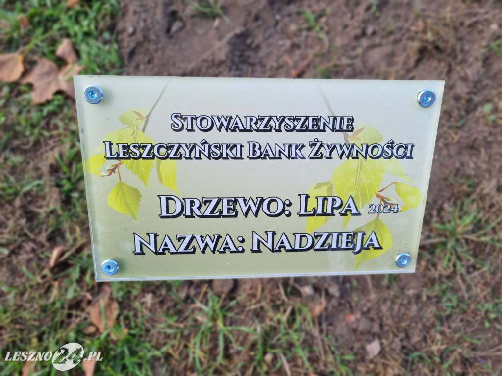Sadzenie drzew w Parku Grody Leszczyńskie