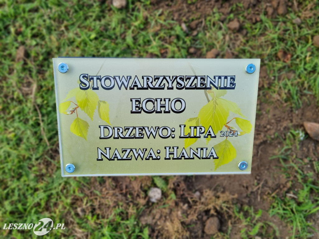 Sadzenie drzew w Parku Grody Leszczyńskie