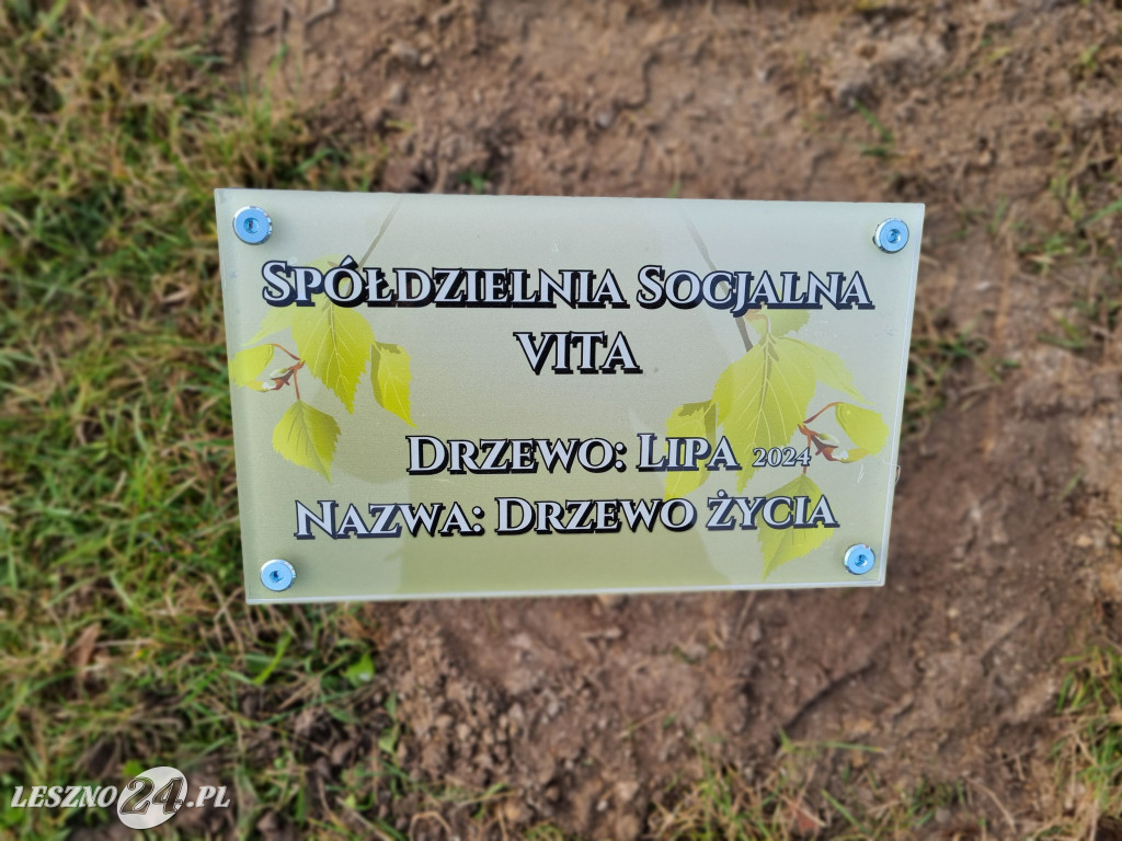 Sadzenie drzew w Parku Grody Leszczyńskie