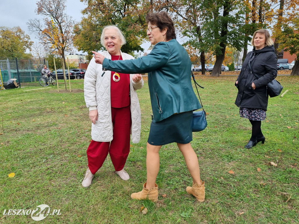 Sadzenie drzew w Parku Grody Leszczyńskie
