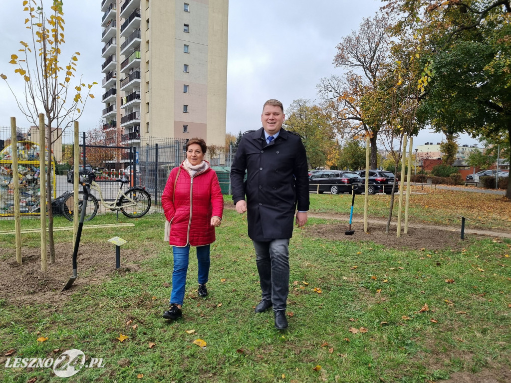 Sadzenie drzew w Parku Grody Leszczyńskie