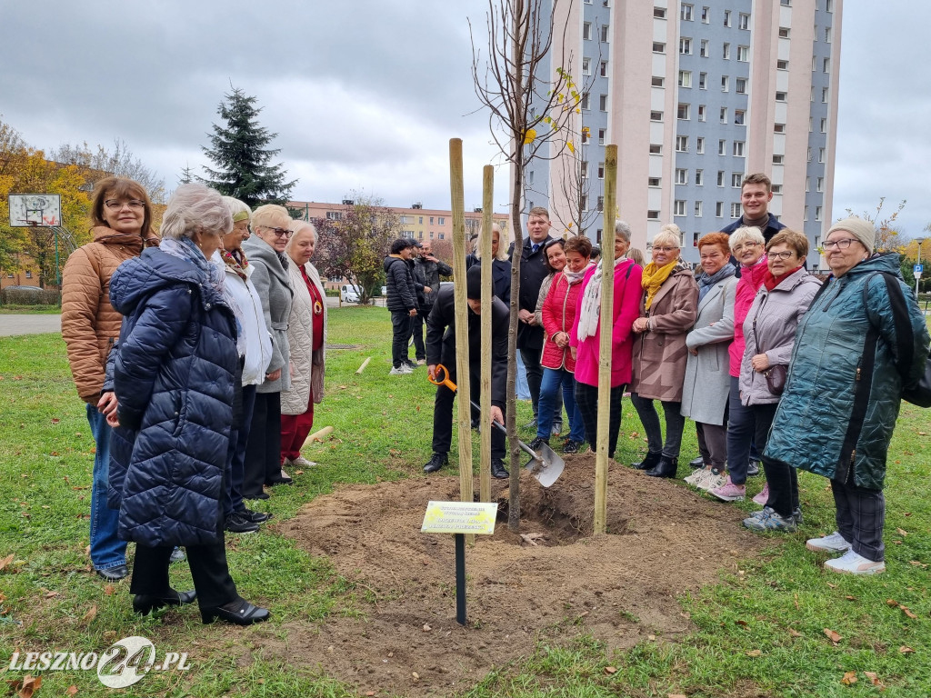 Sadzenie drzew w Parku Grody Leszczyńskie