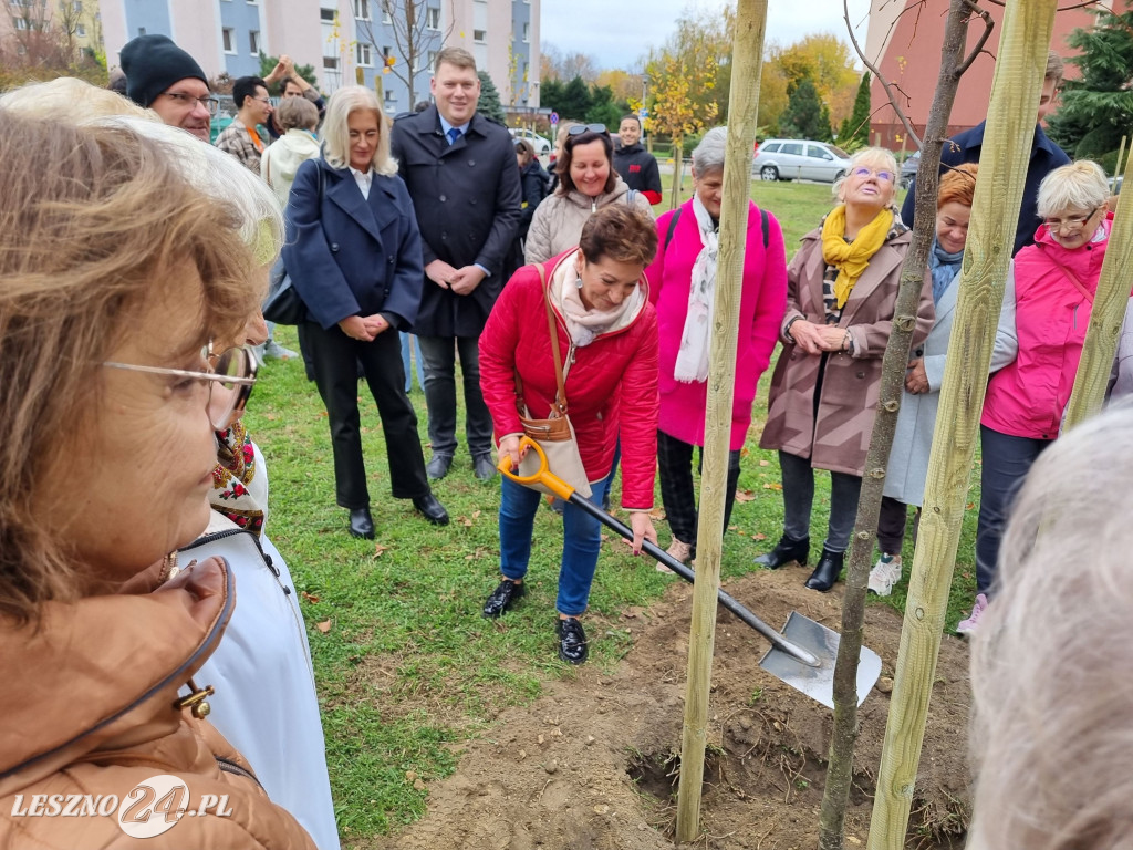 Sadzenie drzew w Parku Grody Leszczyńskie