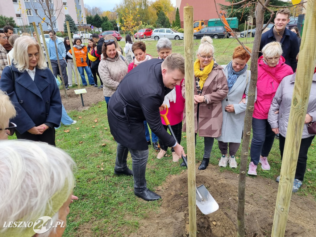 Sadzenie drzew w Parku Grody Leszczyńskie
