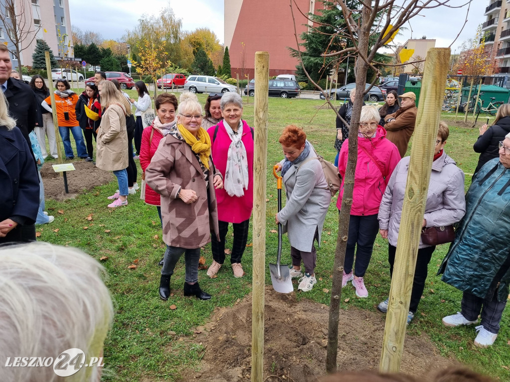 Sadzenie drzew w Parku Grody Leszczyńskie