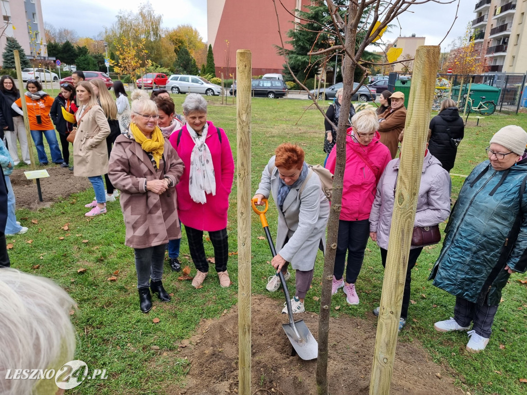 Sadzenie drzew w Parku Grody Leszczyńskie
