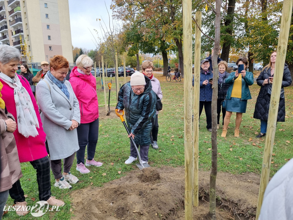 Sadzenie drzew w Parku Grody Leszczyńskie