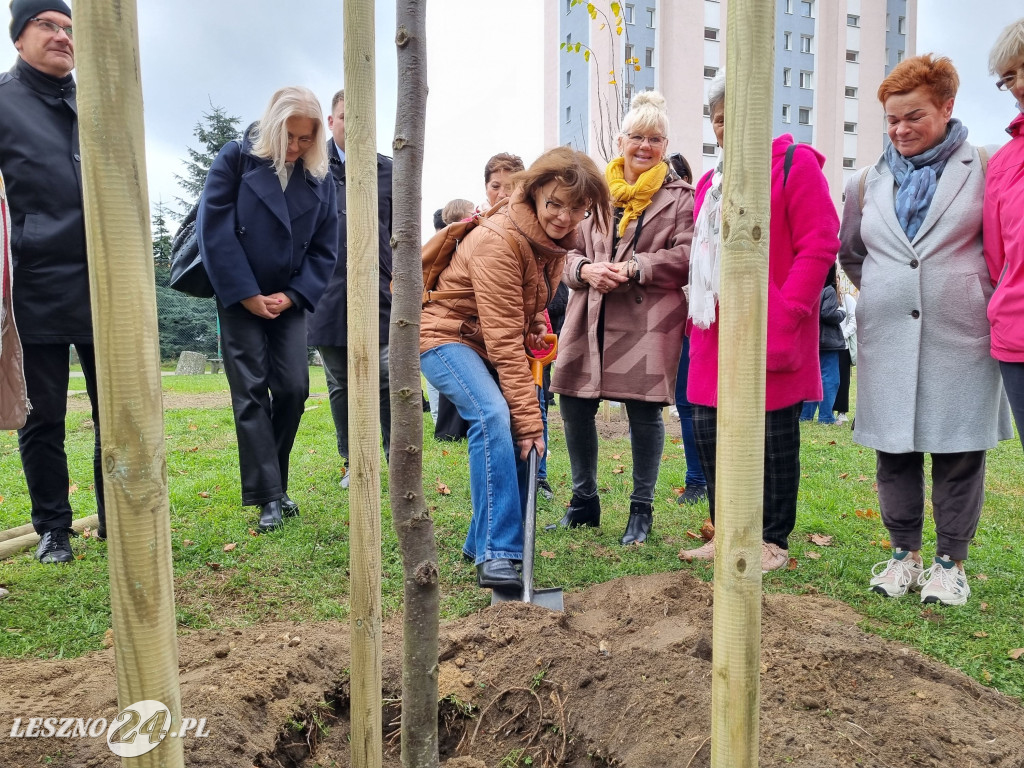 Sadzenie drzew w Parku Grody Leszczyńskie
