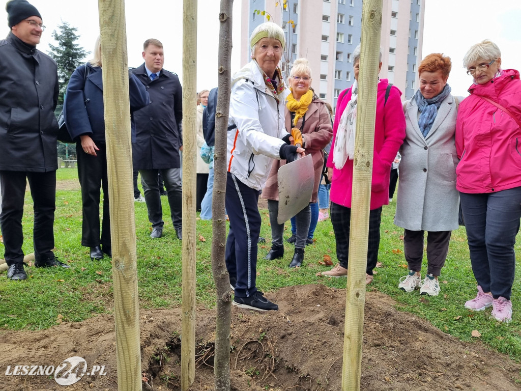 Sadzenie drzew w Parku Grody Leszczyńskie