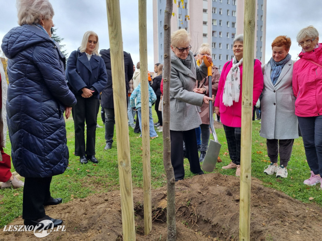 Sadzenie drzew w Parku Grody Leszczyńskie