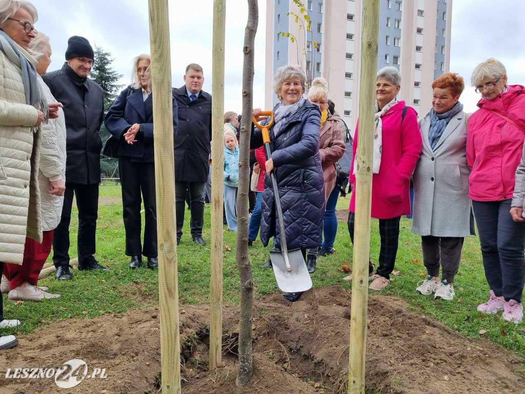 Sadzenie drzew w Parku Grody Leszczyńskie