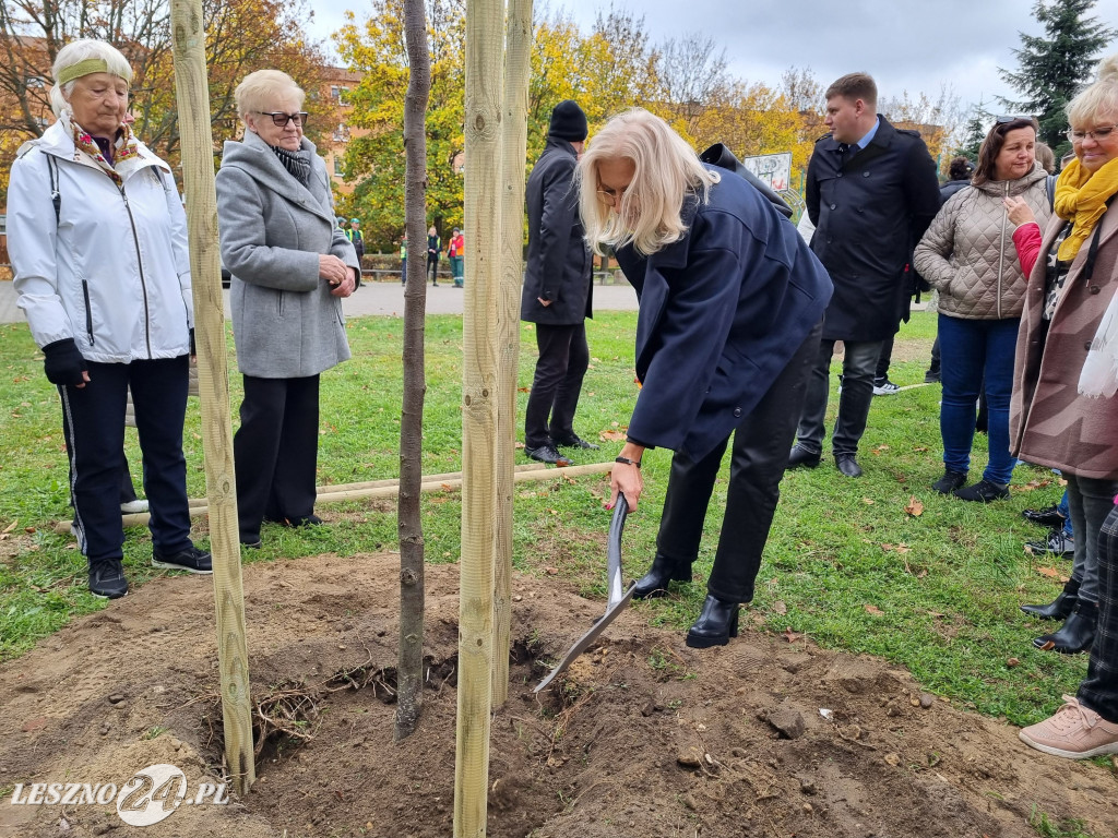 Sadzenie drzew w Parku Grody Leszczyńskie