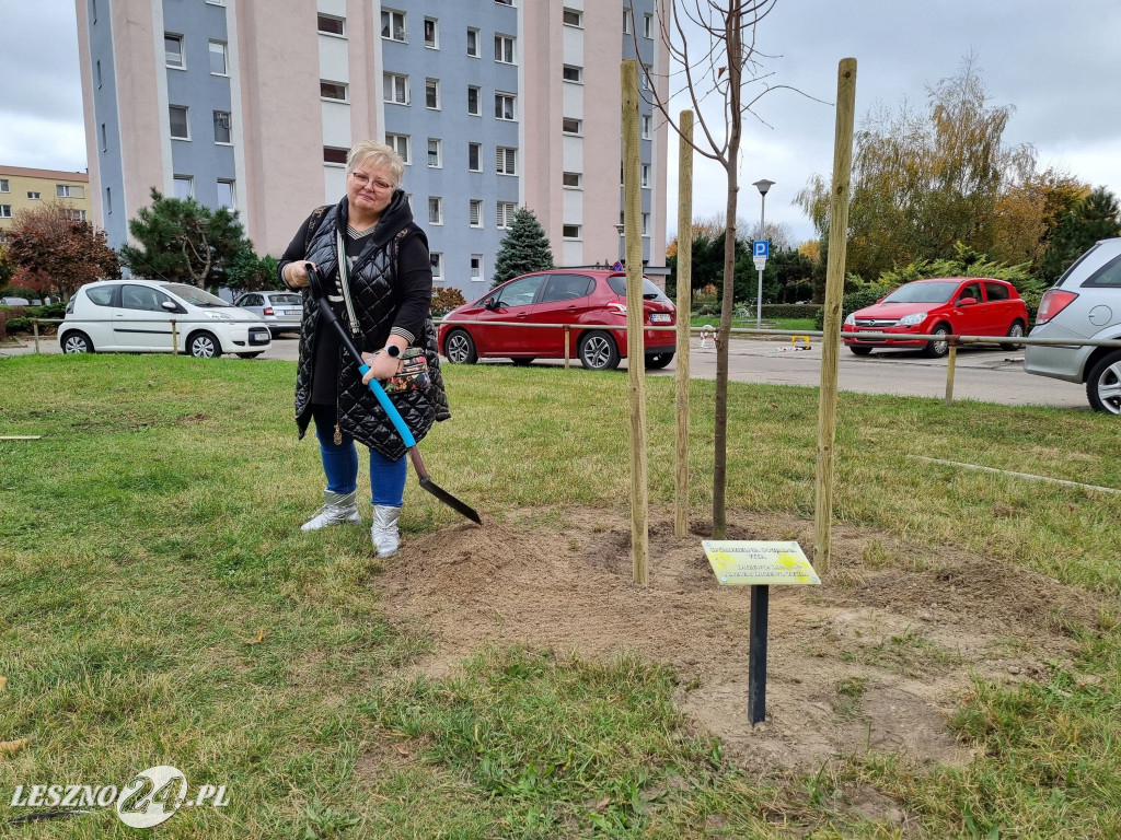 Sadzenie drzew w Parku Grody Leszczyńskie