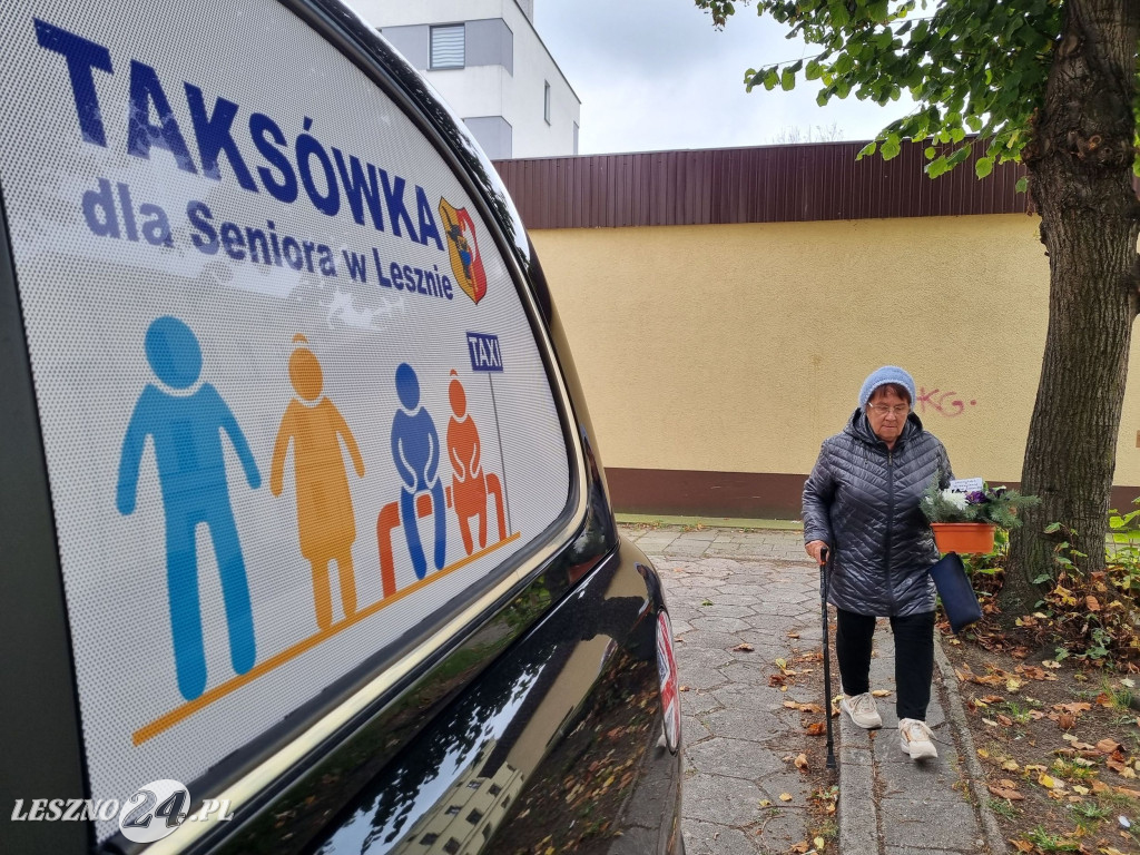 Stowarzyszenie Chorych na Alzheimera - wiązanki na groby