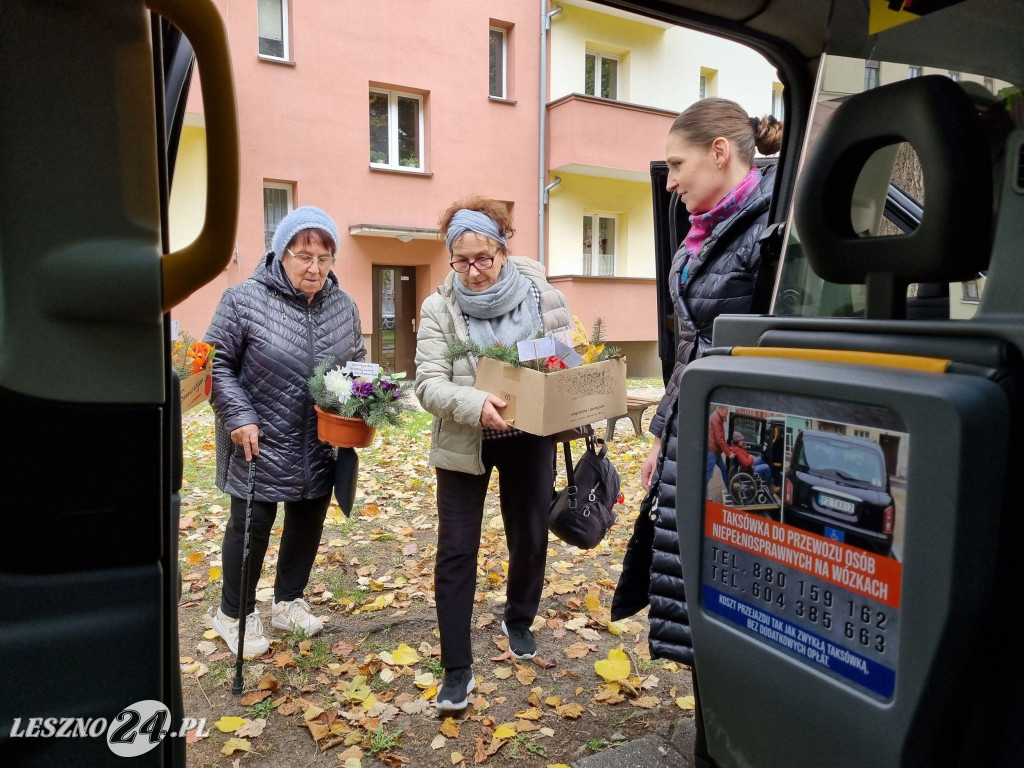 Stowarzyszenie Chorych na Alzheimera - wiązanki na groby