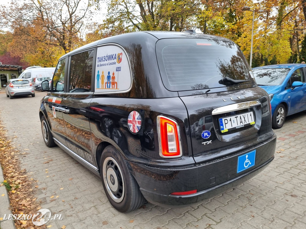 Stowarzyszenie Chorych na Alzheimera - wiązanki na groby