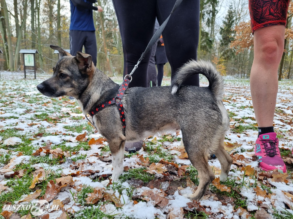 Parkrun z wąsem