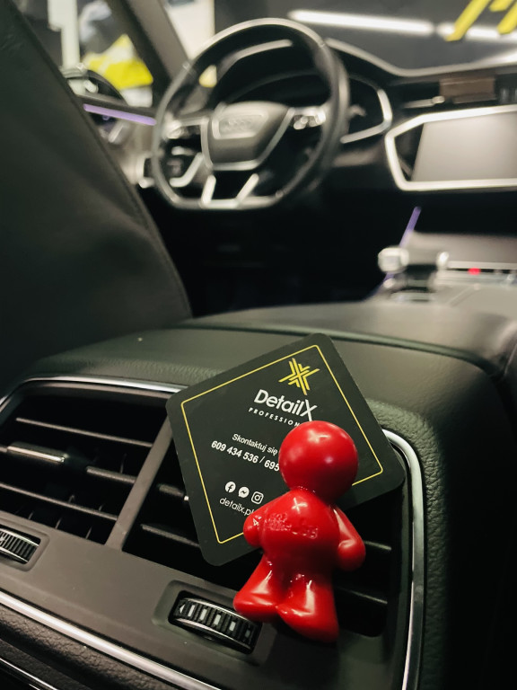 Odkryjemy piękno twojego auta - DetailX Professional