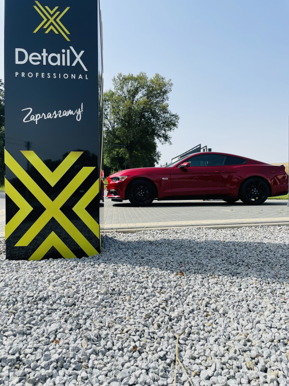 Odkryjemy piękno twojego auta - DetailX Professional