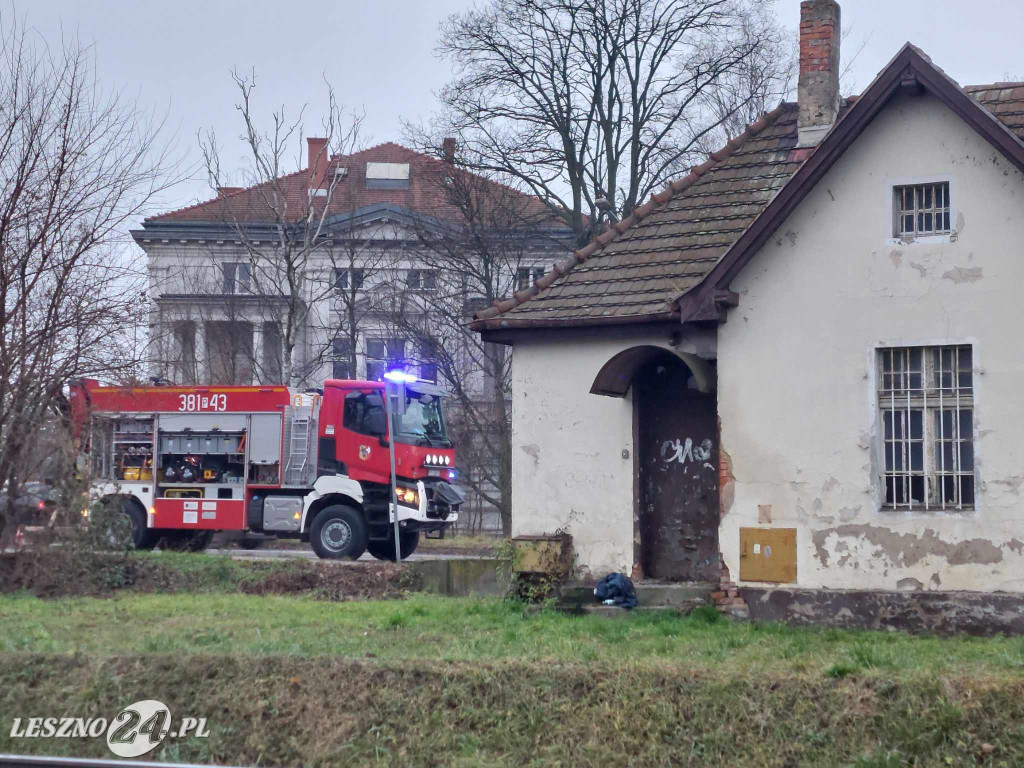 Mężczyzna zginął pod kołami pociągu