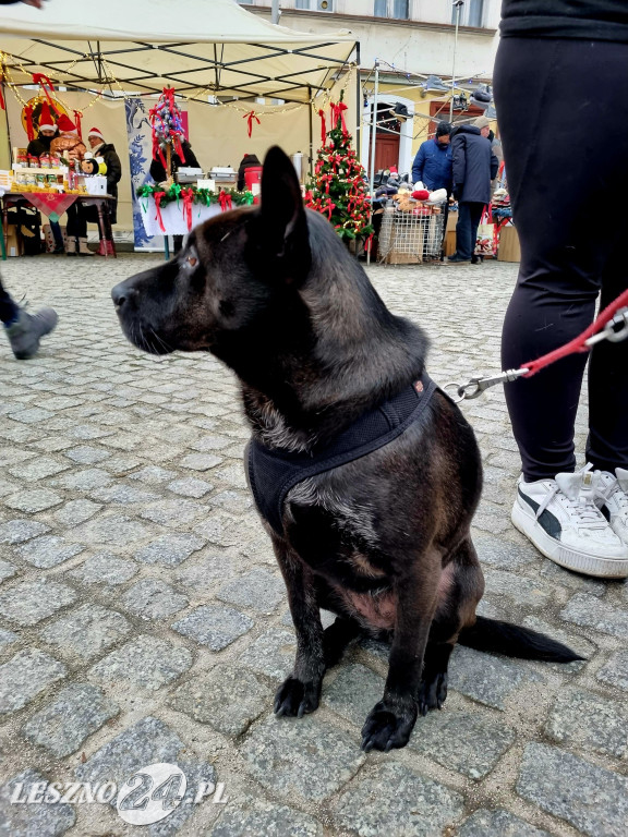 Świąteczny Jarmark w Rydzynie