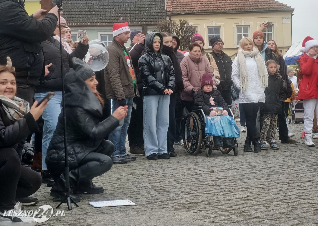Świąteczny Jarmark w Rydzynie