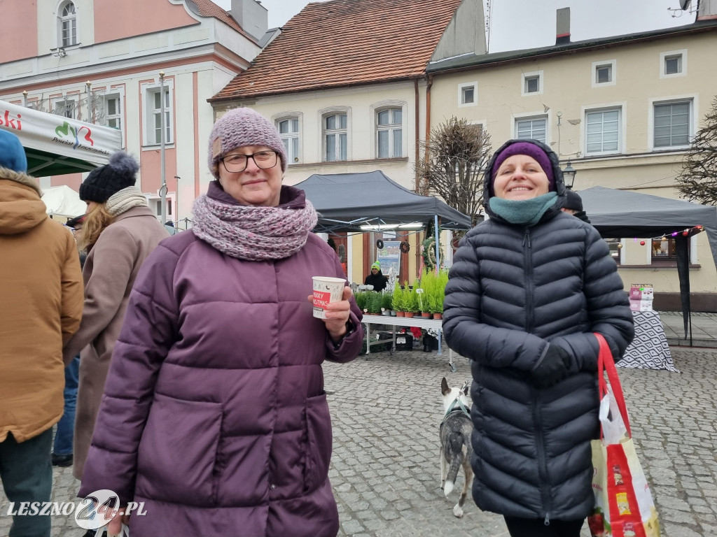 Świąteczny Jarmark w Rydzynie