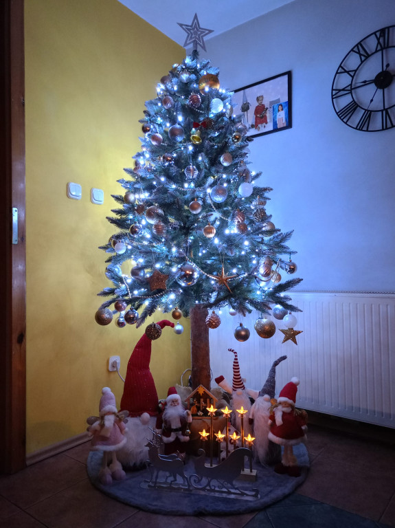 Choinkowa zabawa z firmą DetailX (cześć 1)