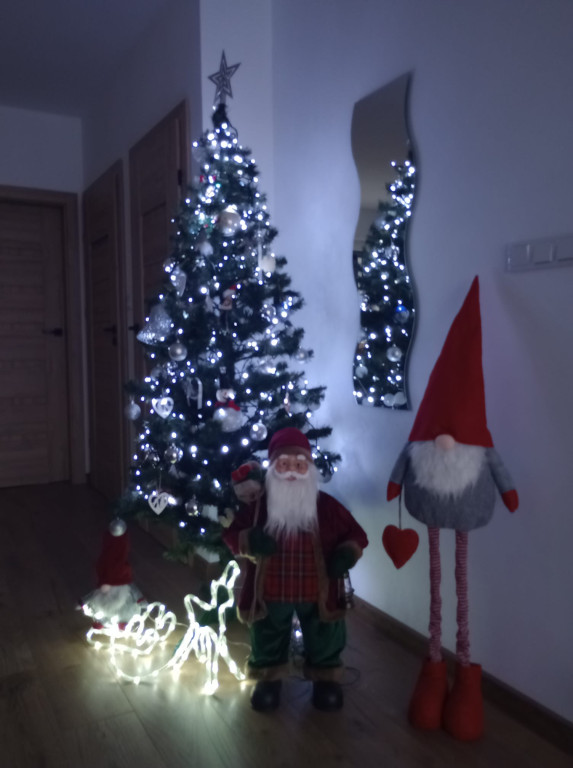 Choinkowa zabawa z firmą DetailX (cześć 1)