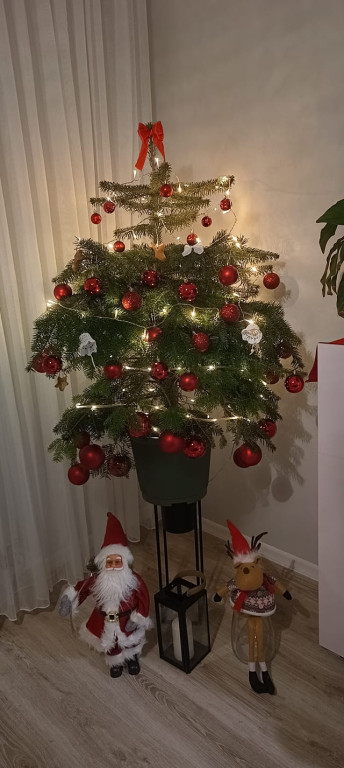 Choinkowa zabawa z firmą DetailX (cześć 1)