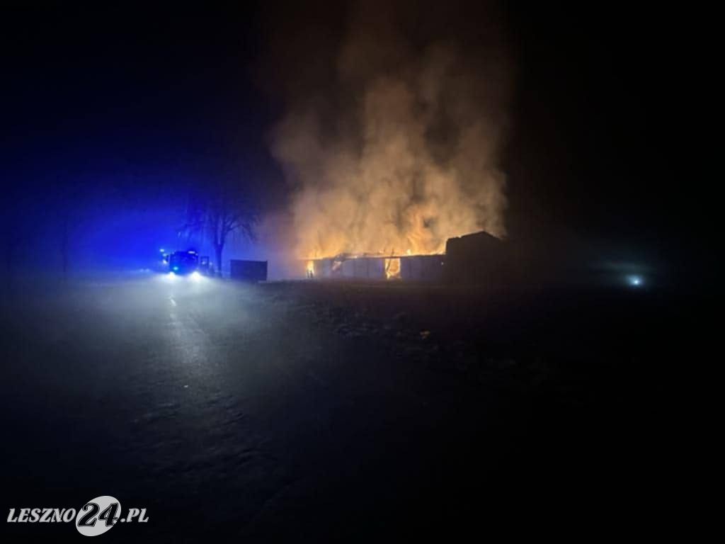 Pogorzelisko w Luboni w gminie Krzemieniewo