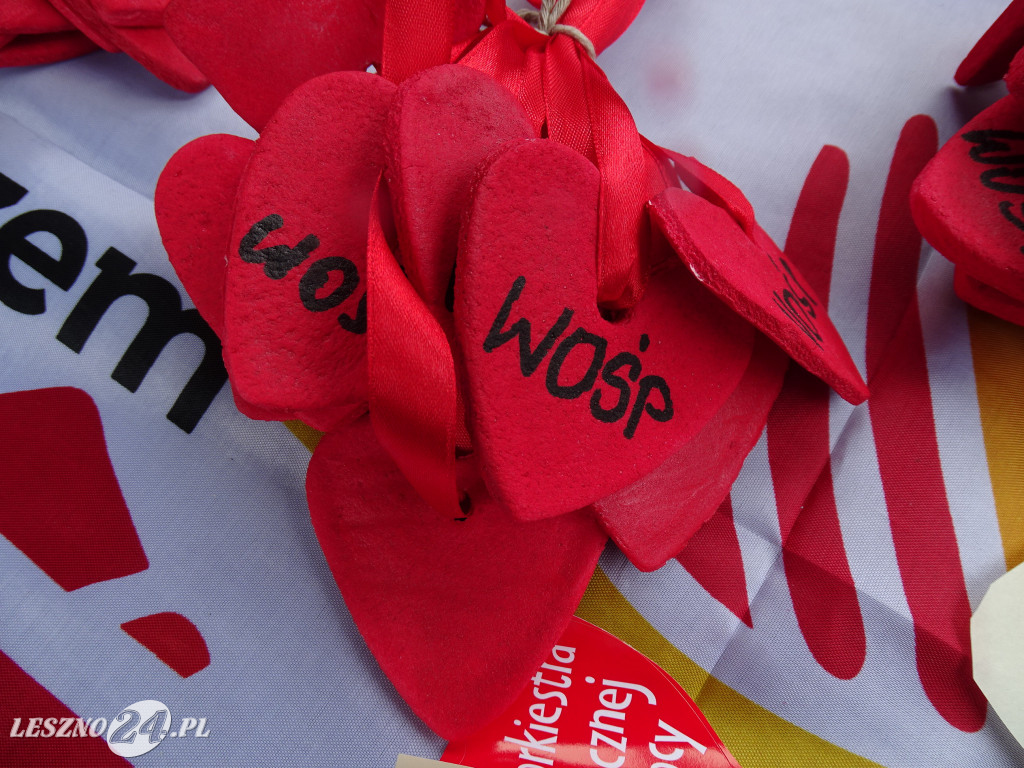 XIII Bieg i Kijomarsz WOŚP, Leszno 2025