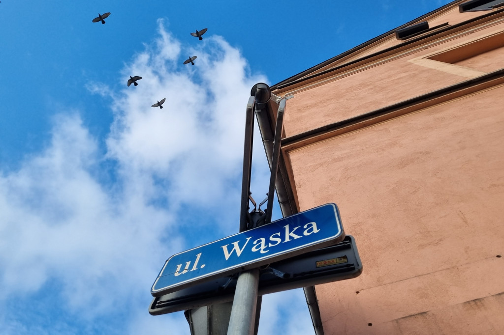 Ulica Wąska jest upstrzona odchodami