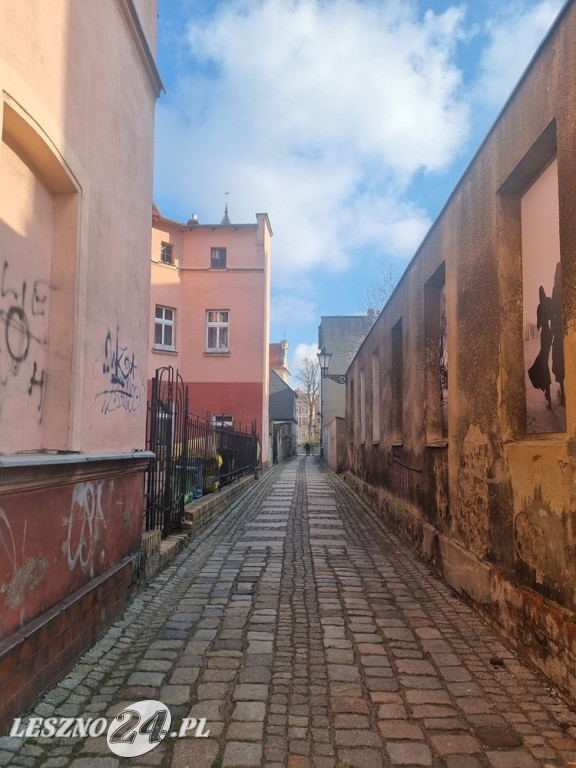 Ulica Wąska jest upstrzona odchodami