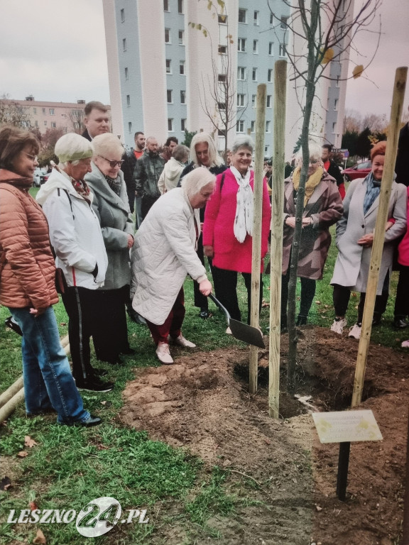 Najlepsza Inicjatywa Pozarządowa 2024 roku