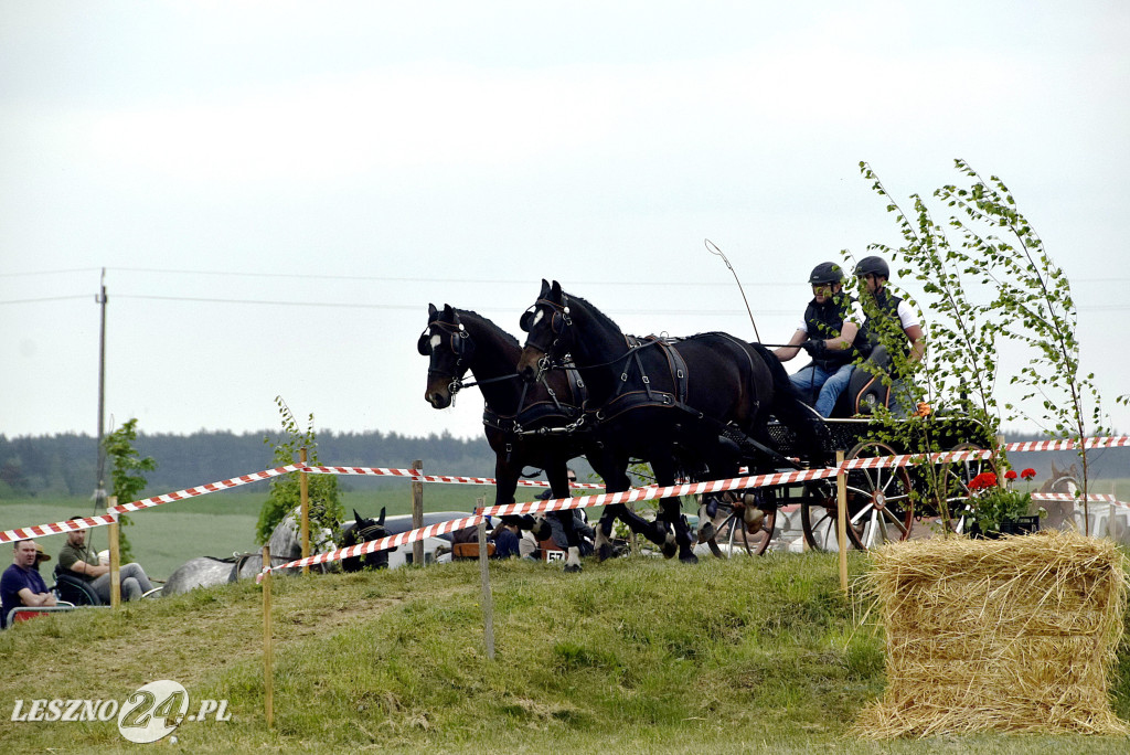 Powożenie w Bukówcu Górnym