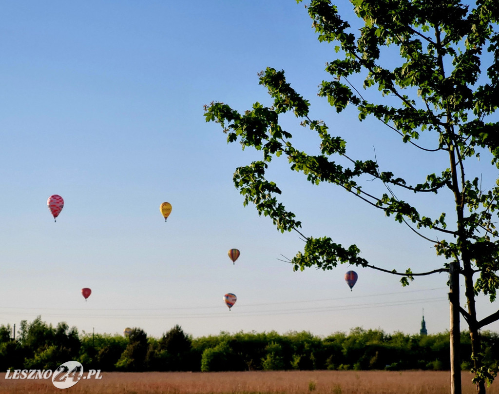 6 maja balony latały nad Lesznem