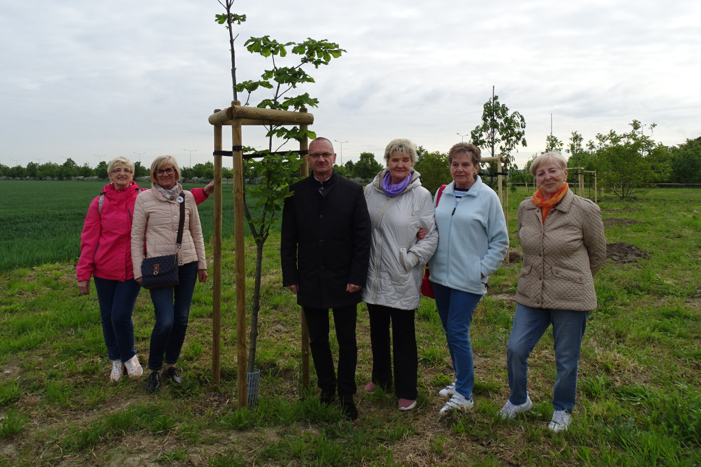 25 kasztanów posadzono w Lesznie